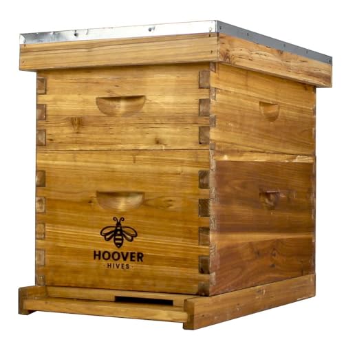 Hoover Hives 8 Frame Langstroth Beehive Dipped in 100% Beeswax Includes Wooden Frames & Waxed Foundations (1 Deep Box, 1 Medium Box)