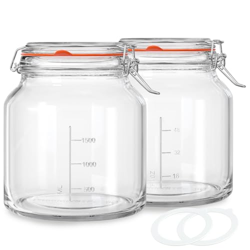 Qianfenie 2 Pack 79oz Glass Jar with Lid(2350ML), 0.6 Gallon Mason Jars Wide Mouth with Airtight Lid, Glass Pickle Jar for Food Storage, Cookies, Pickling, Kombucha(Includes 2 Spare Seals)