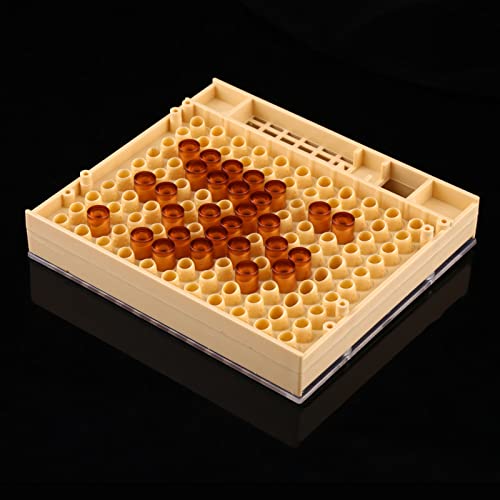 Queen Bee Grafting Tool 20x16x13cm Beekeeping Queen Breeding Cup Box Cell Rod Blocks Caps Hair Rollers Cages Beekeeper Equipment