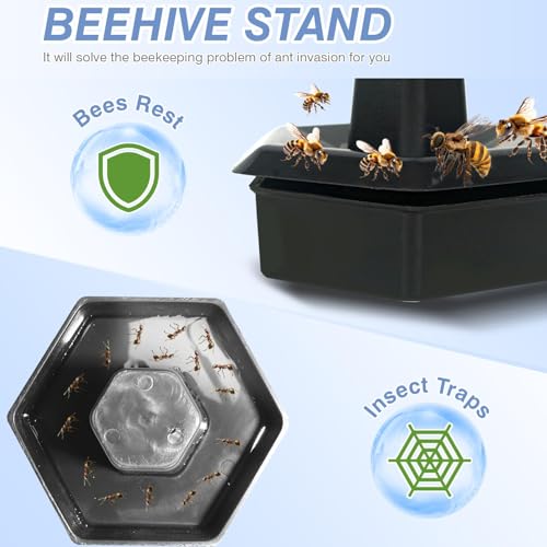 8 Frame Langstroth Bee Hive, Painted Beehive Kit with Windows Includes Unassembled Beehive Box with Beehive Frames and Foundations (2 Deep & 2 Medium)