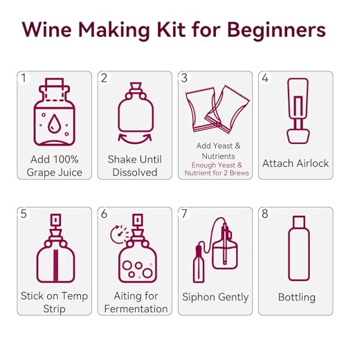 Wine Making Kit Home Brewing - Complete Grape Juice Brew Starter Set for Beginners, 1 Gallon Glass Fermentation Jar with 4 Bottles, Yeast & Nutrients, Siphon, Airlock and Step-By-Step Guide