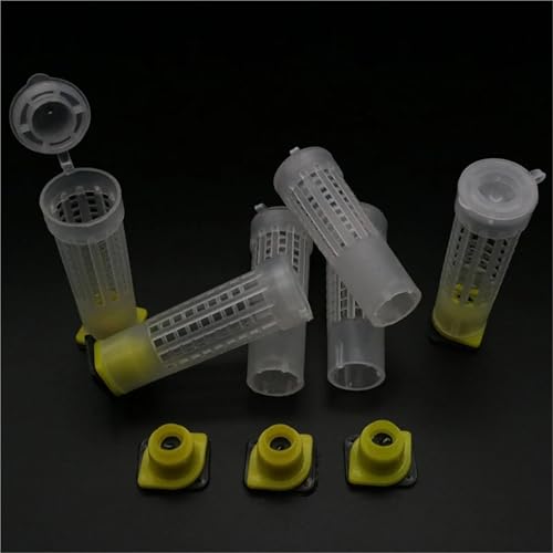 Bee Rearing Kit 1SET Apiculture Kit Queen Bee Rearing Plastic Graft Larva Pen Hair Roller Cage Cell Protection Beekeeping Tool Supplies for Beginners and Bee Keeper