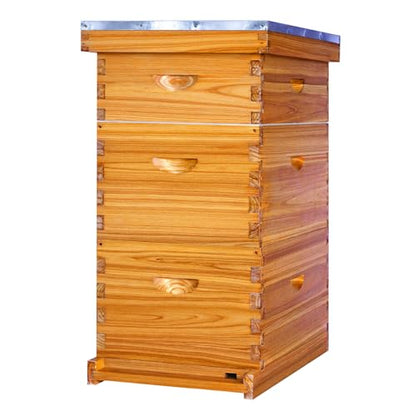 Honey Lake 8-Frame Langstroth Beehive Starter Kit, Beeswax-Coated Hive Boxes with 2 Deep Brood Boxes & 1 Medium Super, Includes Wooden Frames & Waxed Foundations, Complete Beekeeping Kit for Beginners