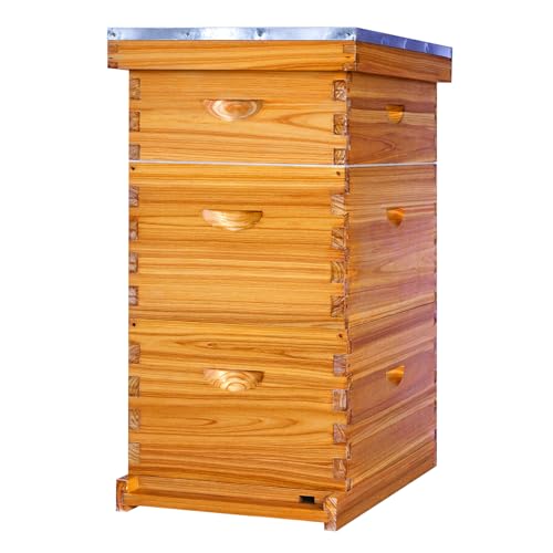 Honey Lake 8-Frame Langstroth Beehive Starter Kit, Beeswax-Coated Hive Boxes with 2 Deep Brood Boxes & 1 Medium Super, Includes Wooden Frames & Waxed Foundations, Complete Beekeeping Kit for Beginners