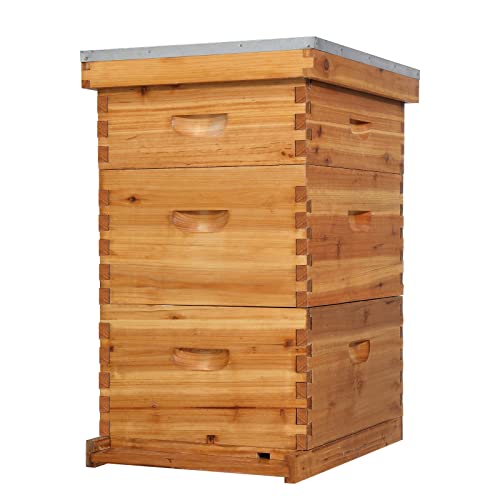 VINGLI 10-Frame Bee Hive, Wax Coated Beehive Starter Kit with Frames & Beeswax Coated Foundation Sheets (3 Layer) - style: 3 Layer
