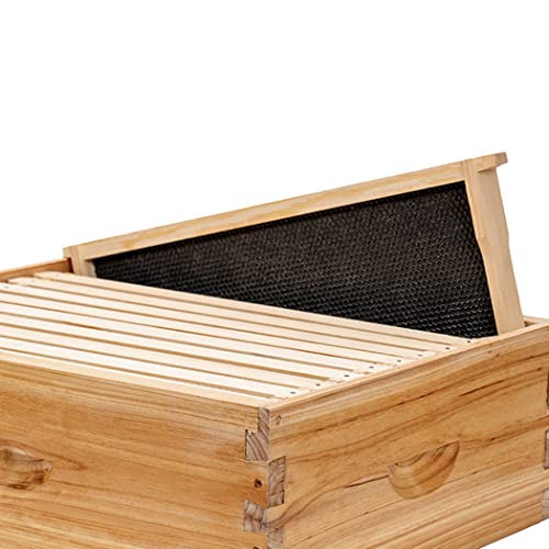 MayBee Medium Super Beehive Frames with Wax Foundations,10 Pack Honey Bee Frames with 100% Beeswax Coated Food Grade Foundation Sheets, 6-1/4-Inch (Black) - color: 10 Pack Medium Frame black