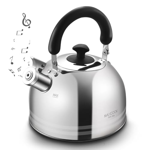 Whistling Tea Kettle, 3.17 Quart/3L Stainless Steel Tea Pot, Stove Top Tea Kettle，Induction Teakettle with Anti-Heat Handle (Mirror Polish) - color: Silver Stripe, size: 3.2 Quarts
