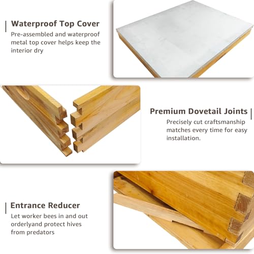 Beeswax Coated Bee Hive Starter Kit - 3 Layer Langstroth Beehive with 2 Deep & 1 Medium Super Boxes - Premium Wood Honey Bee House, Metal Top Cover & Queen Excluder (No Frames)