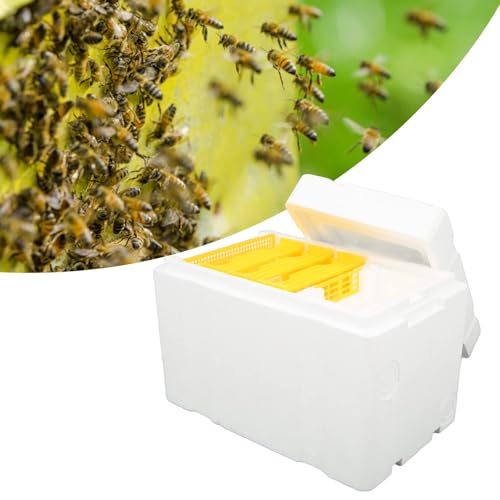 Foam Beehive Box for Beekeeping, Lightweight Portable Mating Box for Breeding and Reproduction, with Sliding Panels, Better Insulation Than Wooden