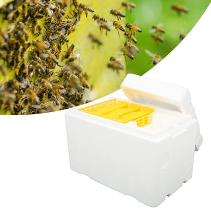 Foam Beehive Box for Beekeeping, Lightweight Portable Mating Box for Breeding and Reproduction, Features Sliding Panels, Better Insulation Than Wooden