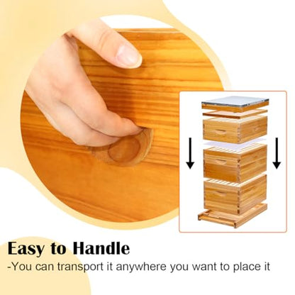 POLLIBEE 8 Frame Medium Super Bee Box, Assemble Bee Hive Box, Dipped in 100% Beeswax, Include Beehive Frames and Bee Hive Foundation