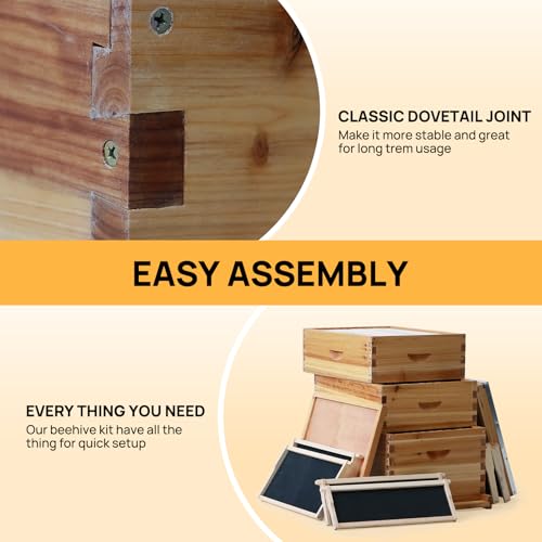 Bee Hive Box with Observation Window, 10 Frame Beeswax Coated Bee Hive Starter Kit for Beginners Beekeepers (1 Deep Box & 1 Medium Boxes) - size: 2 Layer