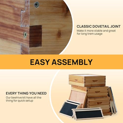 10-Frame Langstroth Bee Hive Coated with 100% Beeswax Includes Beehive Frames and Foundations (2 Deep Boxes & 2 Medium Boxes) - size: 4 Layer