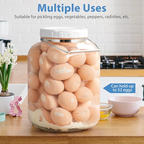 Sovietiep 1.5 Gallon Wide Mouth Glass Storage Jars, Large Glass Jar, 2 Pack | 2 Pack with Airtight Lid & Stainless Handle, 4.3" Wide Mouth, Food Grade Canisters, Gallon Glass Jars with ML/OZ Scale Line