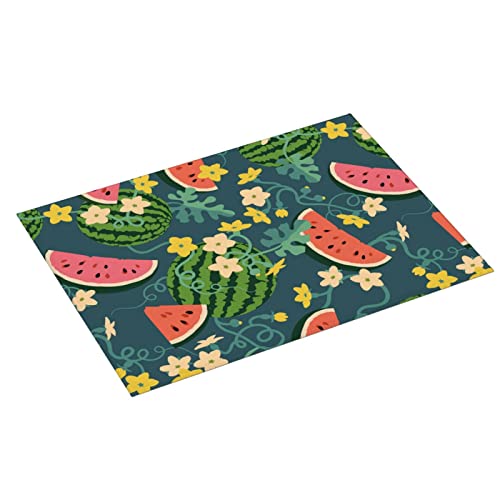 Large Dish Drying Mats For Kitchen Counter Microfiber Kitchen Drying Mat XL Draining Pad Absorbent Quick Drying Dish Mat 18x24 Inch - Watermelons - color: Watermelons