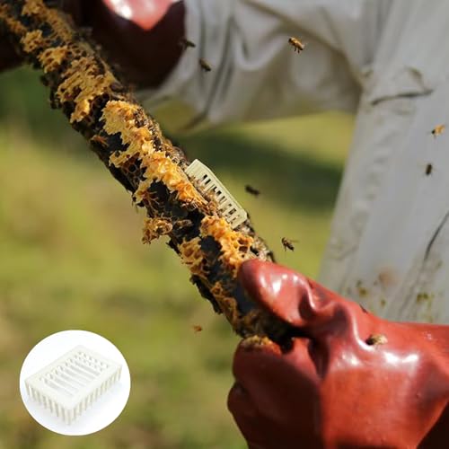 6 Pcs Queen Bee Cage Plastic Beekeeping Rearing Box for Isolation Queen Bee Transporting Catcher Tool