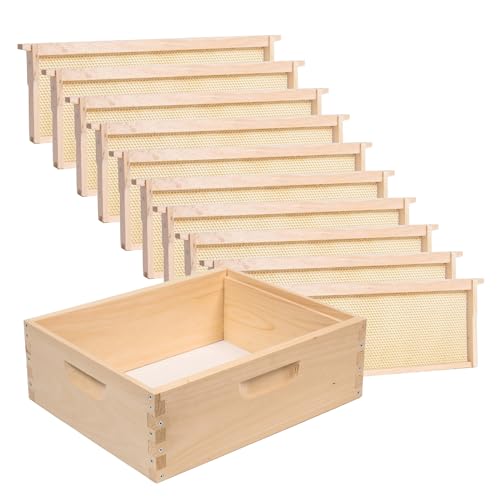 Lehman's Stoney Acres Beekeeping Beehive Box, 10 Frame Medium Assembled Super or Brood Honeybee Hive Box with Plastic Foundation Frames, Amish Made