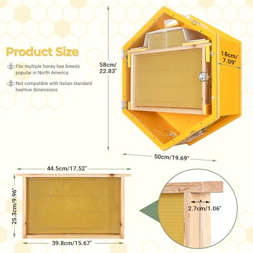 Observation Beehive Starter Kit with 3 Frames & 6 Honeycomb Trays, Wall-Mounted Hexagon Bee Hive with Acrylic Viewing Window, Medium Size for Indoor, Garden, or Educational Beekeeping