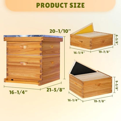 10-Frame Bee Hive Complete Beehive Kit Beeswax Coated Beehive Include Frames and Foundation Sheets for All Beekeeping Levels (1 Deep & 1 Medium Bee Boxes)