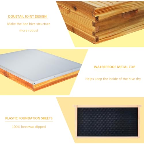 10 Frame Bee Hive Starter Kit, Complete Beehive Kit for Beekeepers Dipped in 100% Beeswax,Bee Hive Boxes Starter Kit for Bee Keekeepers - Langstroth Beehive Kit with 2 Honey Bee Hives Boxes