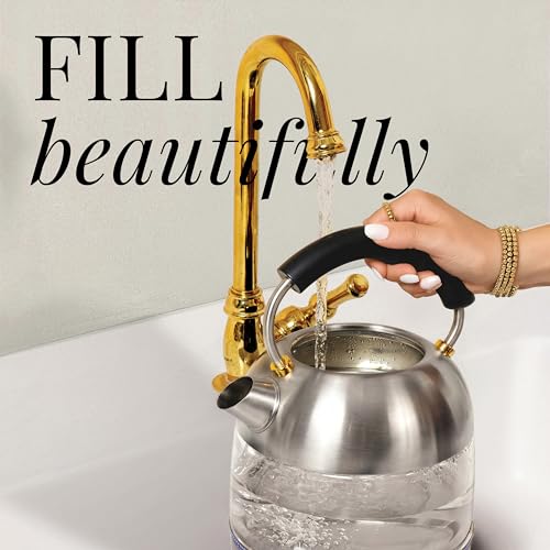 Stainless Steel Electric Kettle with Temperature Control - BPA and Plastic Free Electric Kettle with Keep Warm Function, Borosilicate Glass - Fast 1500W Hot Water Boiler, Auto Shut-Off - color: Stainless Steel