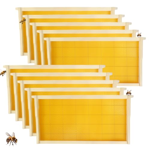 10 Pack Beehive Frames with Beeswax Sheets, Assembled Deep Beehive Frames and Beeswax Foundation Sheets, 9-1/8-Inch for Beekeeping Supplies (10PCS) - size: 10Pcs