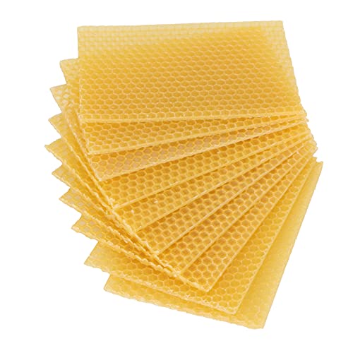10 Sheets Beekeeping Beeswax Sheets Natural Useful Pure for Bee Hives (Medium)