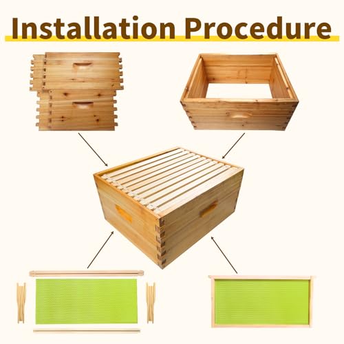 10 Frame Deep Brood Box Langstroth Bee Hive Box Dipped in Beeswax, Sections of Wood for Beehives Include Beehive Frames and Wax Foundations, 10 Pack(Green Unassembled) | Unassembled 100% Dipped in Beeswax Thickness 20 Mm - size: Deep 10pack