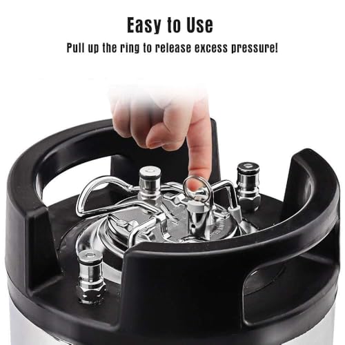 FERRODAY 4PCS Corny Keg Pressure Relief Valve, Plastic Ball Lock Keg Lid Relief Valve for Cornelius Corny Keg Lid Brewing Equipment Replacement Kit
