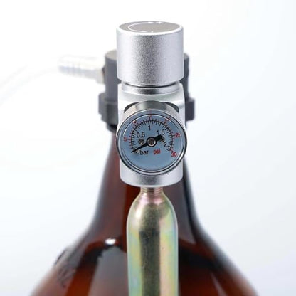 Tap Kit for Growler – Portable Beer Dispenser With CO2 Regulator & Picnic Tap, Homebrew Kegging Equipment for Outdoor Use