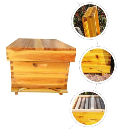 Beekeeping Hive Box with Partition Board and Mesh Cover, Cedar Wood Bee Hive for Outdoor Home Beekeeping, Wax-Boiled Langstroth Beehive Kit for Professional Apiaries