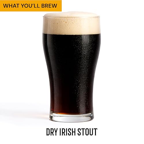 Craft A Brew Recipe Kit - Bone Dry Irish Stout Refill - 1 Gallon - Ingredients for Home Brewing Beer - color: Bone Dry Irish Stout