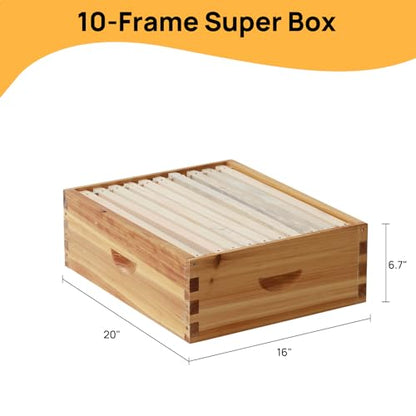 Bee Hive Box, 10 Frame Beeswax Coated Bee Hive Starter Kit for Beginners Beekeepers (1 Medium Box) - size: 1 Medium Box