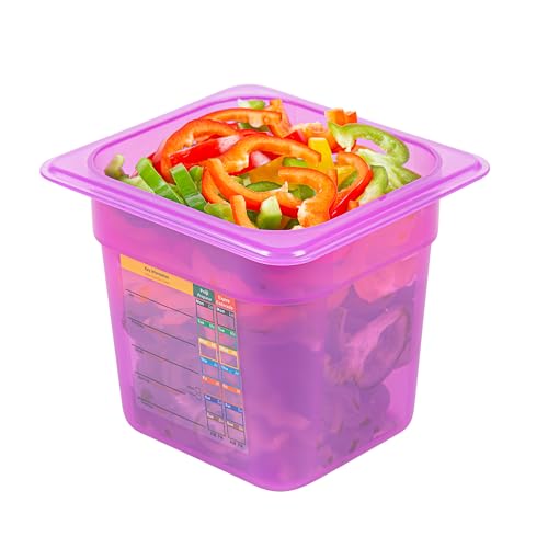 Restaurantware Food Storage Container 1 Pack of 2.3 qt Plastic Stackable Microwave-Safe Bin Dishwasher Safe Freezer Safe Purple Containers for Kitchen Storage - size: 1/6 Size