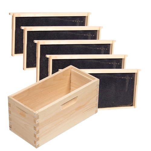 Stoney Acres Beekeeping Deep Nuc Box, Assembled Super or Brood Box with Plastic Foundation Frames for 5 Frame Honeybee Hives, Amish Made