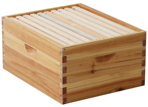 10-Frame Langstroth Bee Hive Coated with 100% Beeswax Includes Beehive Frames and Foundations (1 Deep Box) - size: 1 Brood Box