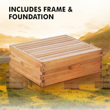 10 Frame Medium Super Beehive Box Wax Coated Bee Hives Includes Beehive Frames and Waxed Foundations (Unassembled) - size: Medium super box