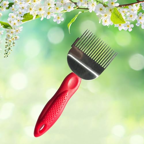 Bee Keeping Stainless Steel Uncapping Fork Needle-Cut Honey Knife Beekeeping Honey Fork Shovel Tool with Plastic Handle-Blue - color: Blue