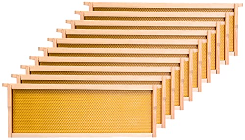 Honey Lake Medium Beehive Frames and Foudations Kit,10 Pack Super Wooden Frames and Beeswax Dipped Plastic Foundations for Beekeeping - color: 10Pack-Yellow