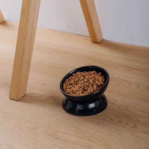 Elevated Ceramic Cat Bowl, 15° Tilted Raised Food & Water Dishes, Anti-Vomiting & Neck Protection Pet Feeder for Kittens, Small Dogs (5.2", Black, 4pc Set) - color: Black, size: 5Inch-4pc