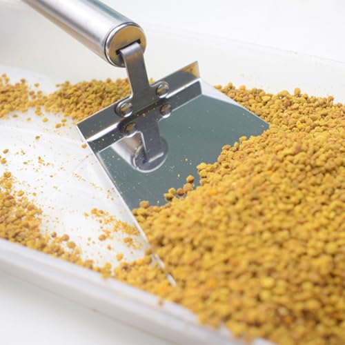 FENICAL Beekeeping Shovel for Bee Case Maintenance Stainless Steel for Hive Cleaning with Tail Hanging Hole Design, Efficient Honeycomb Scraper Tool in Beekeeping