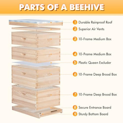 POLLIBEE 10-Frame Bee Hives and Complete Starter Kit, Bee Hives Boxes Includes 2 Deep Bee Box 2 Medium Bee Hive Box with Beehive Frames and Beeswax Coated Foundation Sheets(4 Layers) - size: 2 Super+2 Deep