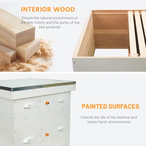 10 Frames Beehive Deep Brood Box and Medium Super Box Unassembled