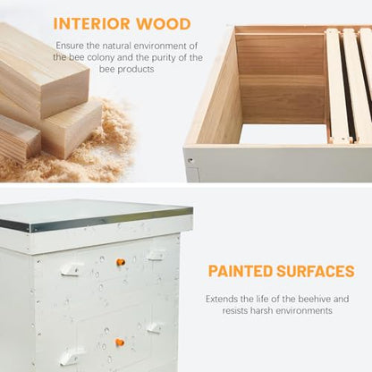10 Frames Beehive Deep Brood Box and Medium Super Box Unassembled