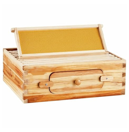 Bee Hive Medium Box Kit - Cedar Wood Langstroth Beehive with 10 Frames, Beeswax Coated, Acrylic Windows - Beginner & Pro Beekeepers