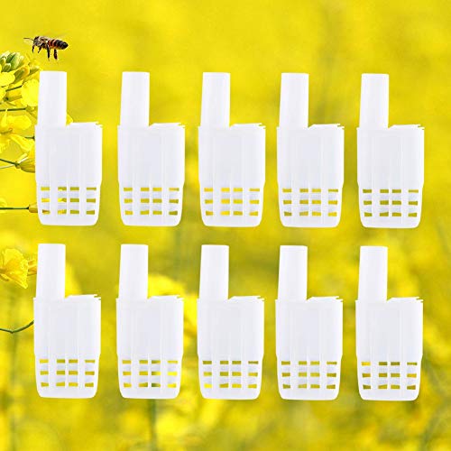 Walfront Queen Bee Cages 10Pcs Plastic Isolator Rearing Catcher Holder Beekeeping Tool