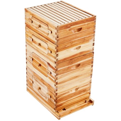 Bee Hive 40 Frame Bee Hives Starter Kit, Beeswax Coated Cedar Wood, 2 Deep + 2 Medium Bee Boxes Langstroth Beehive Kit, Transparent Acrylic Windows with Foundations for Beginners Pro Beekeepers Stur