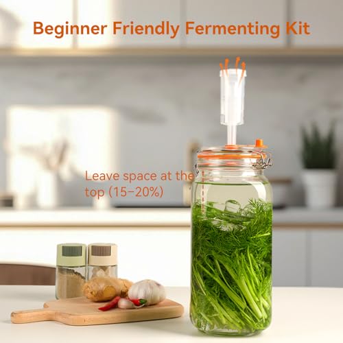 67 Oz Glass Fermentation Jars Kit - 2 Pack Kimchi Wide Mouth Fermenting Container with Airlocks, Sauerkraut Fermenter Making Set for Pickling Canning Sauce, Includes Recipes - size: 2 Pack 67 Oz