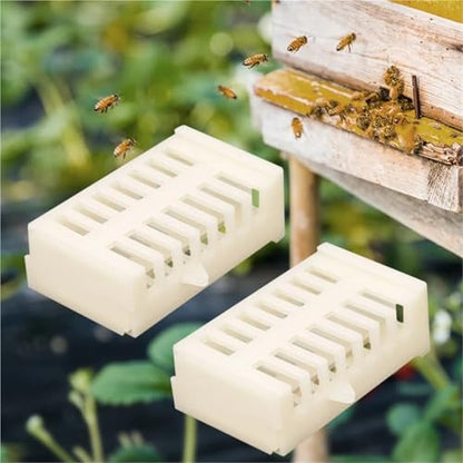 Queen Bee Cage 200pcs Beekeeping Queen Bee Rearing Cage Extension Bees Tools Anti Escape Cages Cup Plastic Cell Supplies Apiculture Equipment for Beekeeping Supplies