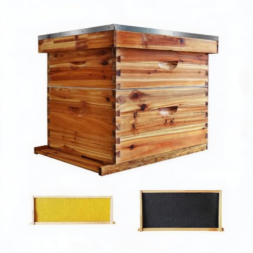 Complete 10-Frames Complete Beehive Kit, Beeswax Coated Bee Hive Includes Beehive Frames and Beeswax Coated Foundation Sheet (2 Layer)